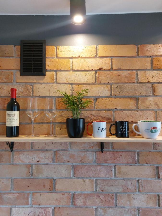 Friends House Apartment Gorzow Wielkopolski Bagian luar foto